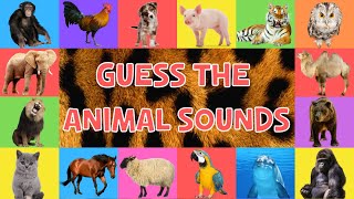 Guess The Animal Sounds For Kids  4K [upl. by Cirda]