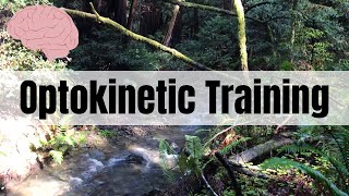 Optokinetic Training Walking Through Muir Woods Forest 627 [upl. by Swords]