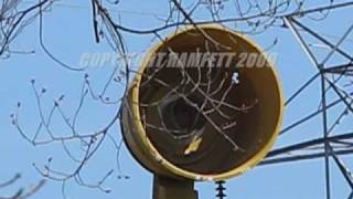 P50T135AC Tornado Siren Alert amp Attack Test West Allis WI 40809 [upl. by Nadnarb]