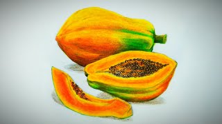 Papaya and slices drawing and pencil coloring tutorial  Freehand drawing  Realistic drawing [upl. by Caryn637]