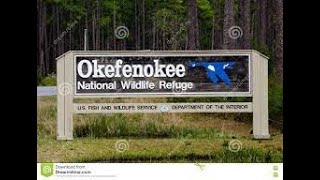 Okefenokee National Wildlife Refuge [upl. by Auburta]