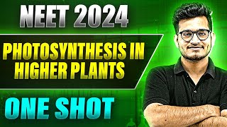 PHOTOSYNTHESIS IN HIGHER PLANTS in 1 Shot FULL CHAPTER COVERAGE TheoryPYQs  Prachand NEET [upl. by Teillo829]