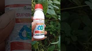 Super life insecticide Thiamethoxam 126  Lambdacyhalothrin 95 ZC insecticide [upl. by Socrates532]