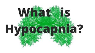 What is Hypocapnia Its uses and side effects  Breathwork Education with Jesse Coomer [upl. by Mir]