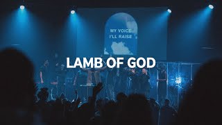 Lamb Of God  2819 Worship [upl. by Apple]