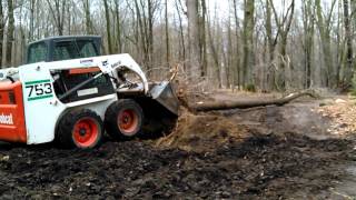 BOBCAT 753 WORKING THE BRUSH [upl. by Pepe390]