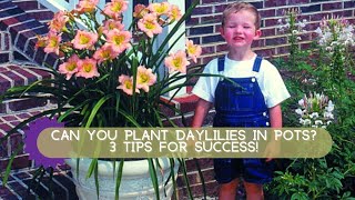 How to Grow Daylilies in Containers  Oakes Daylilies [upl. by Eiznek]