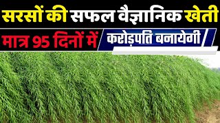 Sarson ki kheti  Full A2Z Video sarson ki kheti kaise karen  Mustard farming  सरसों की खेती [upl. by Naruq423]