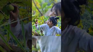 single mother picking guava to sell  sùng thi giang guavapicking shorts market [upl. by Anole845]