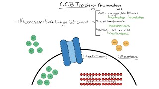 Tox Talk Calcium Channel Blocker Toxicity [upl. by Idleman]