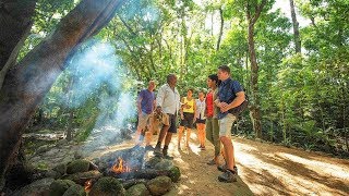 Aboriginal Cultural and Daintree Rainforest Tour from Cairns Australia [upl. by Vladimar1]