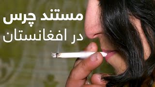 Hashish in Afghanistan  TOLOnews Documentary [upl. by Nodnrb]