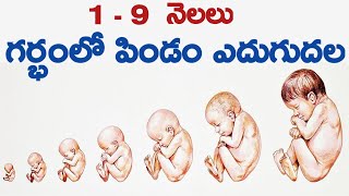 ఈ టైం లో గర్భం రాదు  Safe Days to Prevent Pregnancy in Telugu  Pregnancy Tips  DrJyothi  Ferty9 [upl. by Ebeohp]