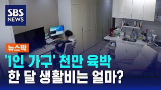 1인 가구 천만 육박 시대…한 달 생활비는 얼마  SBS  뉴스딱 [upl. by Manlove]