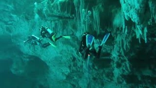 The Pit Cenote Diving in Mexico [upl. by Ck761]