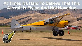 Extreme STOL Landing by Carbon Cub In Windy Conditions [upl. by Naejarual]