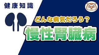 【腎臓内科医監修】慢性腎臓病ってどんな病気？～種類・経過・治療について～ [upl. by Vetter728]