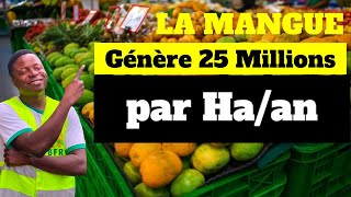 La mangue génère 25 Millions par hectare an [upl. by Odranoel970]