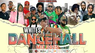 Dancehall Mix 2025  New Dancehall Songs  WHITES  MasickaAlkalineSkillibeng Chronic lawKraff [upl. by Aplihs]