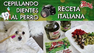 Cepillado dental del Perro Receta Gnocchis al Pesto By FLORA FINE FOODS [upl. by Oidale186]