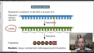 Le mutazioni  parte prima [upl. by Tonjes]