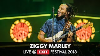 EXIT 2018  Ziggy Marley Live  Main Stage FULL SHOW [upl. by Nelaf]