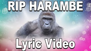 Elon Musk  RIP Harambe Lyrics Elon Musk Song [upl. by Harms227]