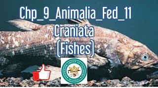 Chp9Federal11CraniataJawless fishesJawed fishesCartiliaginous fishBony fish [upl. by Snowman552]