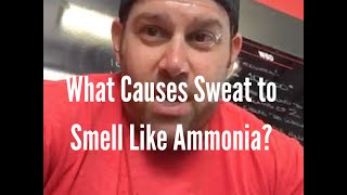 What Causes Sweat to Smell Like Ammonia [upl. by Timrek519]