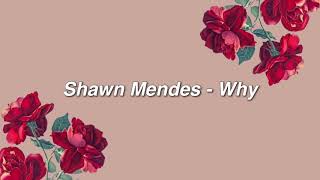 Shawn Mendes  Why lyrics [upl. by Susanetta]