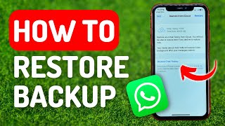 How to Restore Whatsapp Backup  Full Guide [upl. by Frentz]