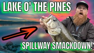 Lake O’ the Pines Spillway Smackdown Catching Monster Bass [upl. by Beghtol]