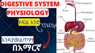 DIGESTIVE SYSTEM PHYSIOLOOGY PART 1 IN AMHARICGI PHYSIOLOGY MADE EASY [upl. by Ehpotsirhc]