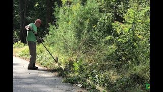 The most overgrown yard and landscape cleanup EVER [upl. by Justus]