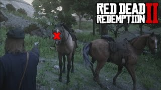 Red Dead Redemption 2  How To Get Rid Of A Temporary Horse [upl. by Euqinor]