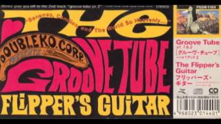 Flippers Guitar  GROOVE TUBE pt2 [upl. by Aiuqcaj389]