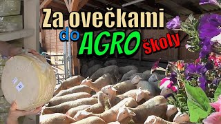 Za ovečkami do AGRO školy [upl. by Ahsila451]