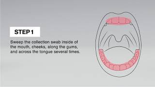 MultiDrug Saliva Test Cup Demo  Rapid Response® [upl. by Ketti]