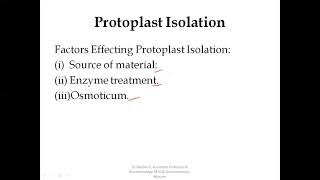 Protoplast Isolation [upl. by Aenert963]