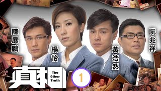 TVB法律劇  真相 0125  陳展鵬思傑拯救 被虐母子  楊怡、黃浩然、陳展鵬、阮兆祥、唐詩詠、馬國明  粵語中字  2011 [upl. by Roumell443]