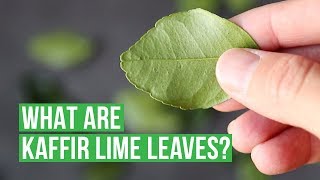 What Are Kaffir Lime Leaves 🌿 [upl. by Abbey]