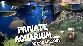 The Worlds Largest Private Home Aquarium Tour  MONSTER FISH at OHIO FISH RESCUE [upl. by Ezri675]