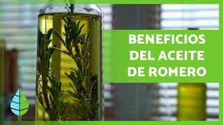 ACEITE de ROMERO 🪔🍃 ¡Propiedades BENEFICIOS y Cómo Hacerlo [upl. by Aicilet649]