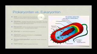 Basiskurs Mikrobiologie Prokaryonten amp Eukaryonten [upl. by Mars]