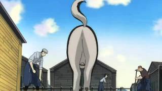 Fullmetal Alchemist Best of Black Hayate dog [upl. by Kohcztiy380]