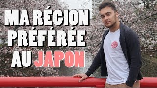 GIFU MA RÉGION PRÉFÉRÉE AU JAPON [upl. by Drabeck]