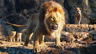 Mufasa salva a Simba y a Nala de las Hienas  El Rey León 2019 LATINO [upl. by Yelroc514]