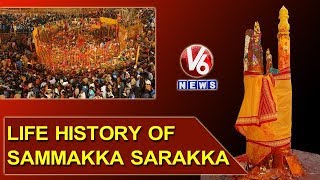 Medaram Jatara  Life History Of Sammakka Sarakka  V6 News [upl. by Handler196]