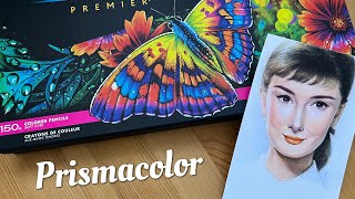 Prismacolor Premier Colored Pencils 150 Set  UnboxingSwatches Drawing [upl. by Anoel]