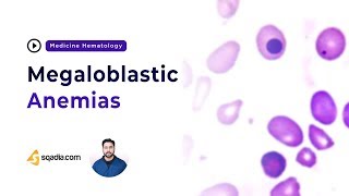 Megaloblastic Anemias  Hematology Medicine Lectures  Medical Education  VLearning [upl. by Lemyt907]